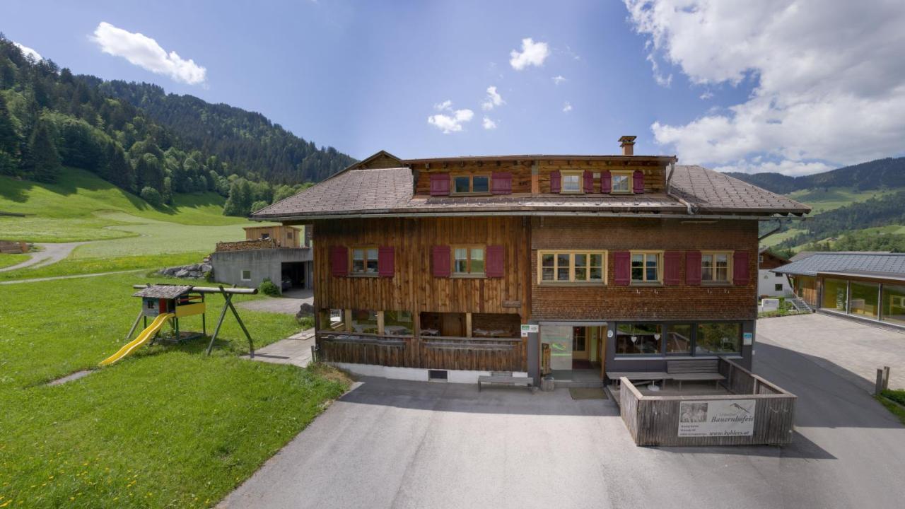 Ferienbauernhof Kohler Daire Schoppernau Dış mekan fotoğraf